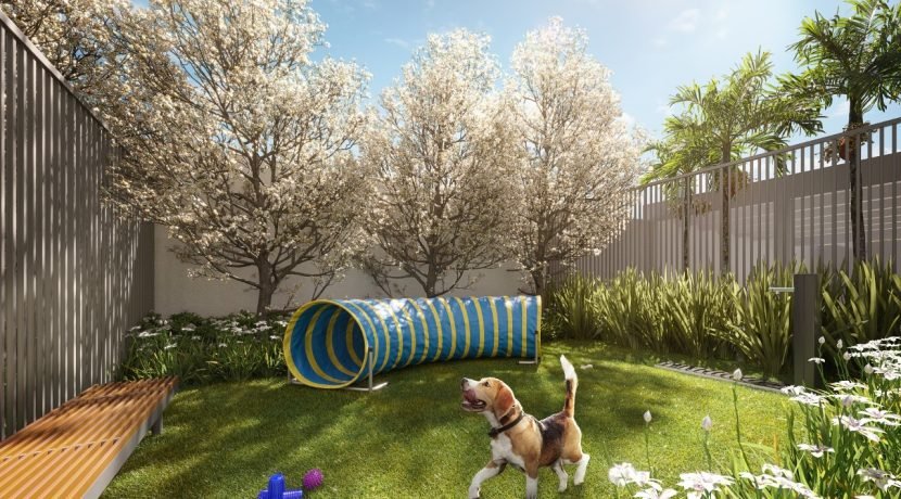 Pet Place